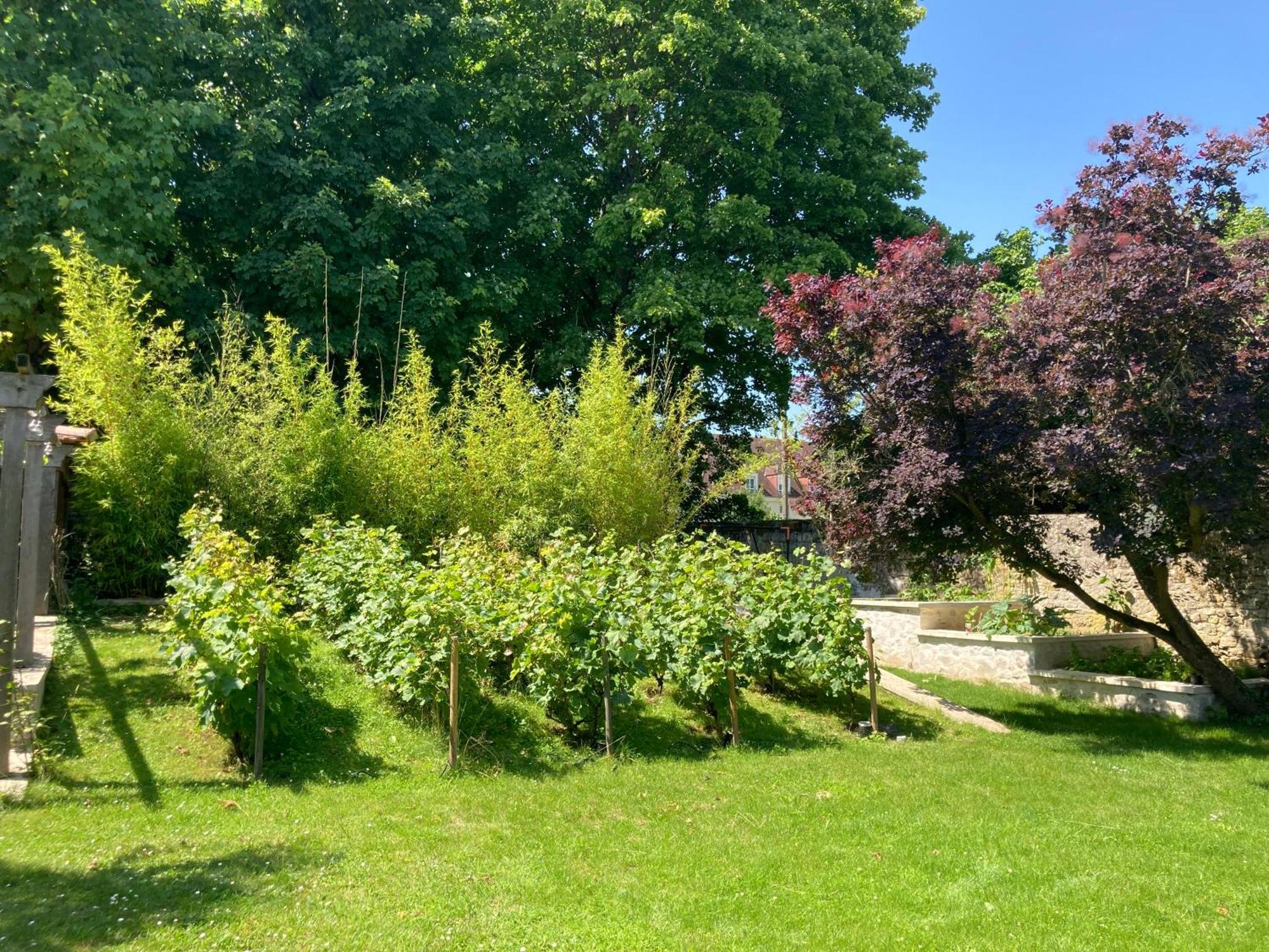 مبيت وإفطار سونلي Pierres Et Jardins المظهر الخارجي الصورة