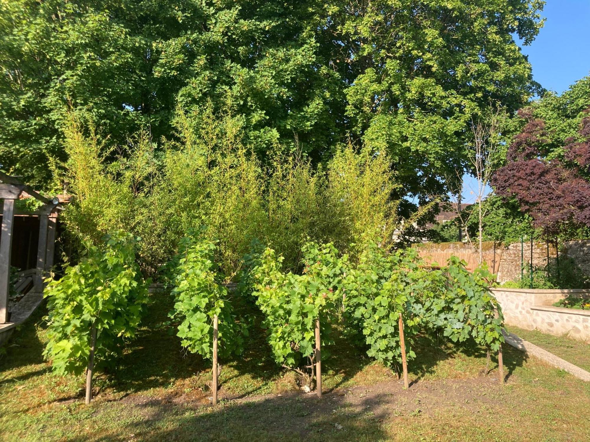 مبيت وإفطار سونلي Pierres Et Jardins المظهر الخارجي الصورة